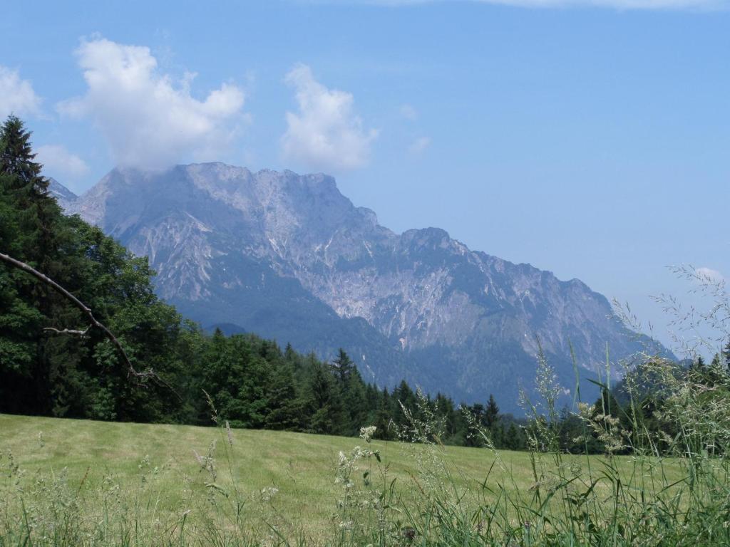 FeWo Untersberg 38m im Lehnhäusl - 5