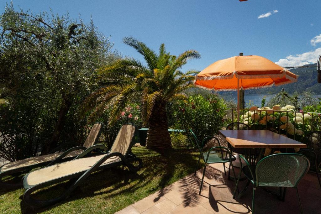 MaisonTerra - 3