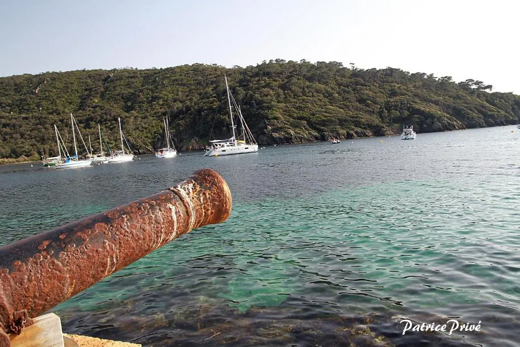 La MAISON du PORT, hotel in Port-Cros
