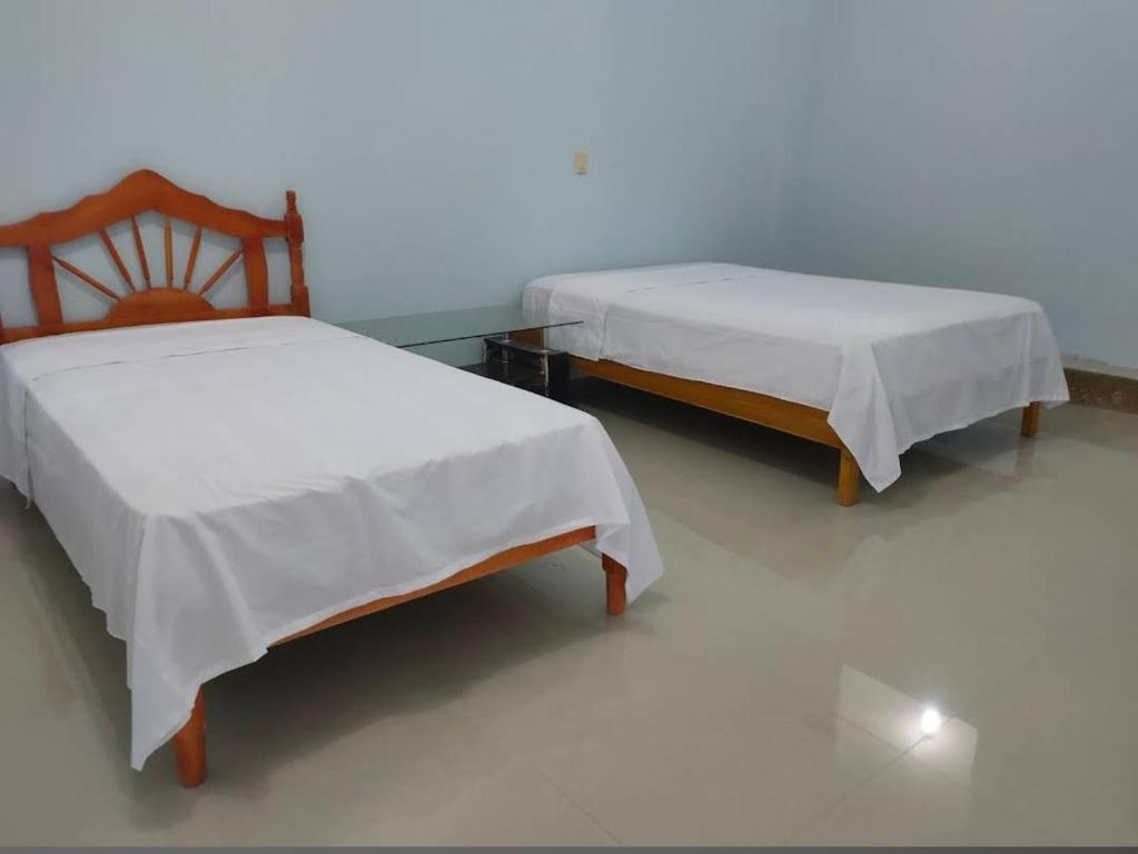 Hostal El Bosque - 1