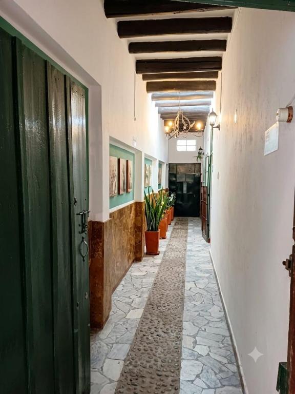 Apartamento Eucalyptus - 5