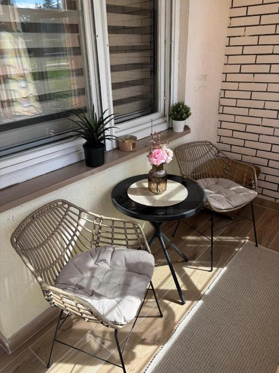 Comfy Apartment Sarajevo - 4