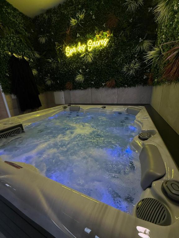 Spa des Sacres - Suite avec Jacuzzi Privatif - 1