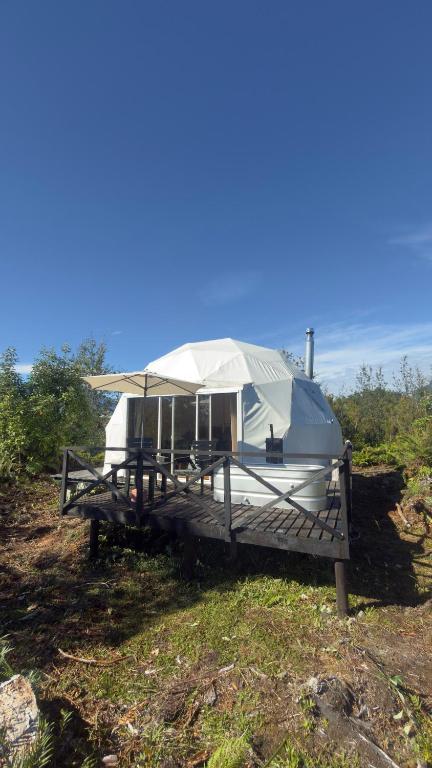 Refugio Volcán Hornopiren - 5