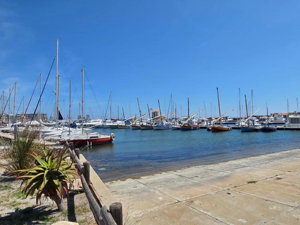 Vue sur lac - Piscine - Clim - Barbecue - 5 pers - 4