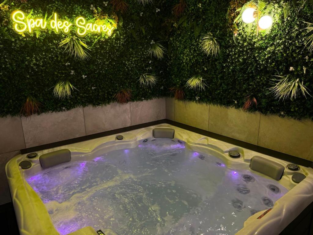 Spa des Sacres - Suite avec Jacuzzi Privatif - 3