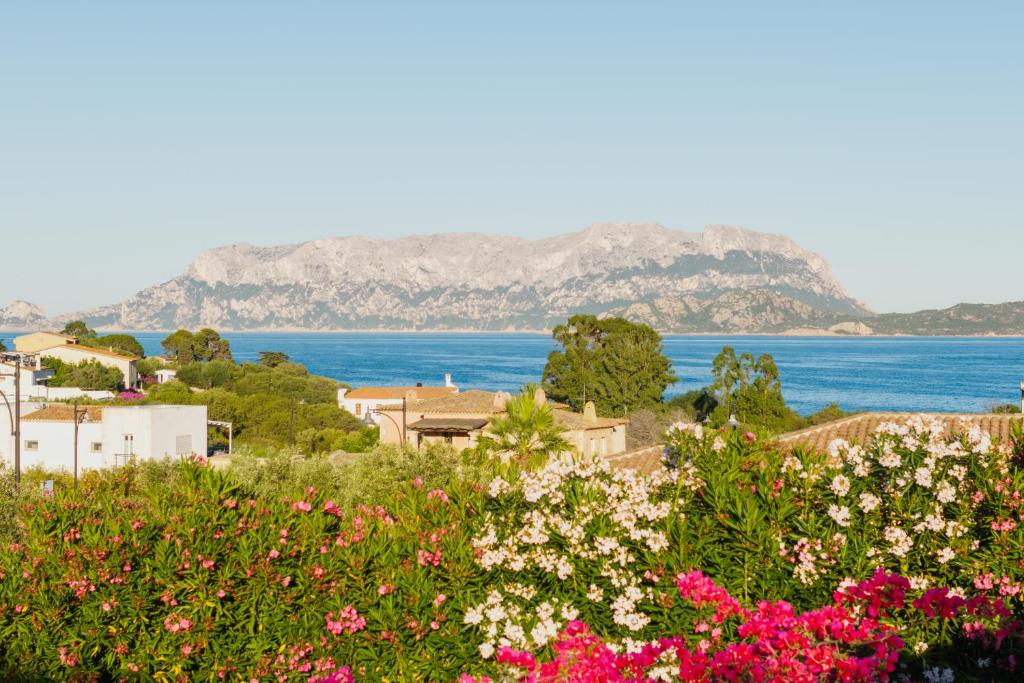 Villa Nettuno-Vista Tavolara within walking distance of the sea - 1