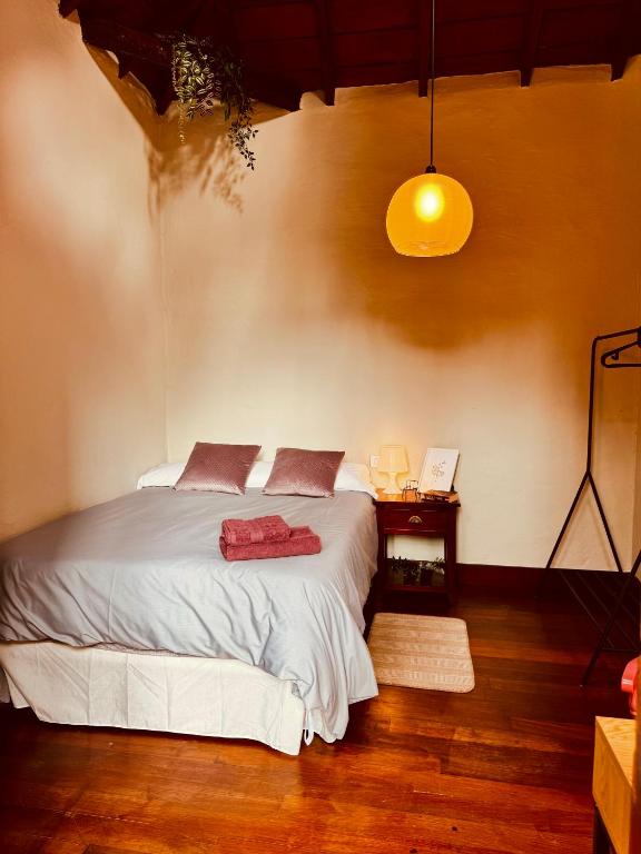 Coliving Tenerife - Villa La Laguna - 5