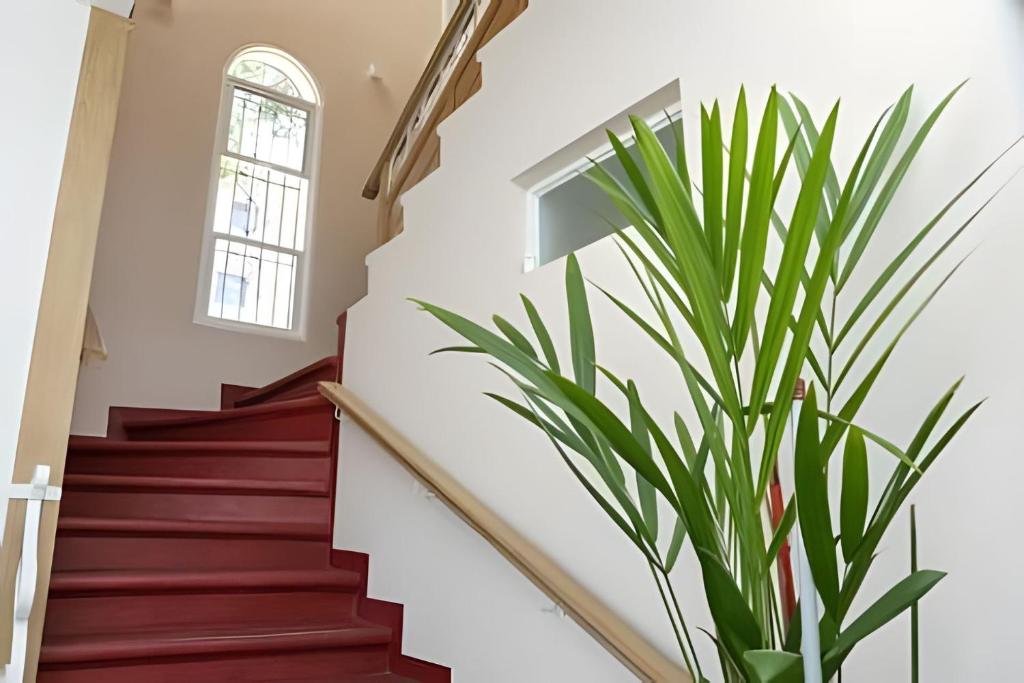 Apartamento 202 en Casa Ventus, La casa del Viento - 4