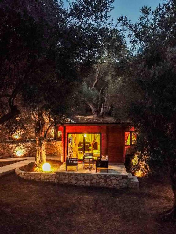 Olive grove Sofias Garden - 4