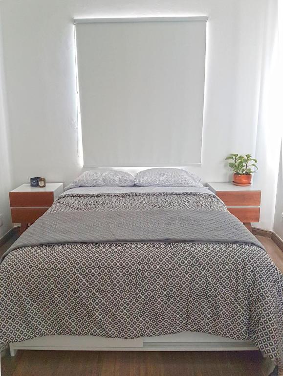Bright 1BR with Optional Rooftop well Connected - 4