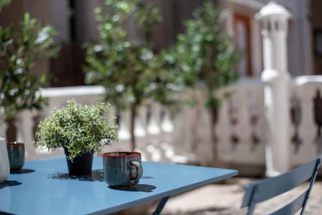 T2 Climatisé - with AC - Private Terrace - Centre Toulouse - 1