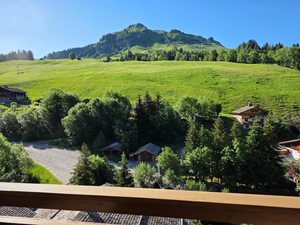 Appartement T3 avec balcon au Chinaillon - 1