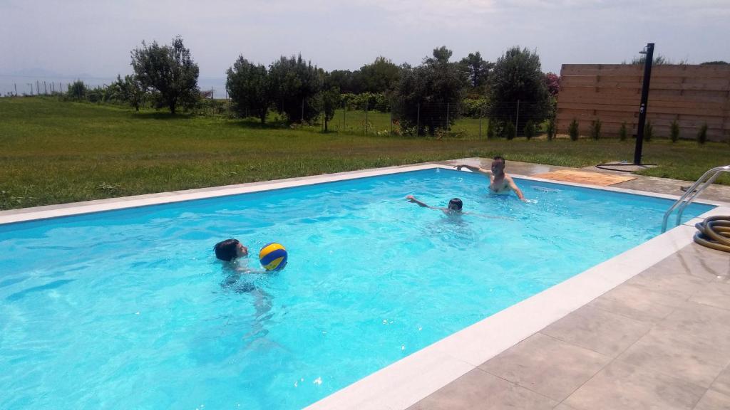 Swimming pool