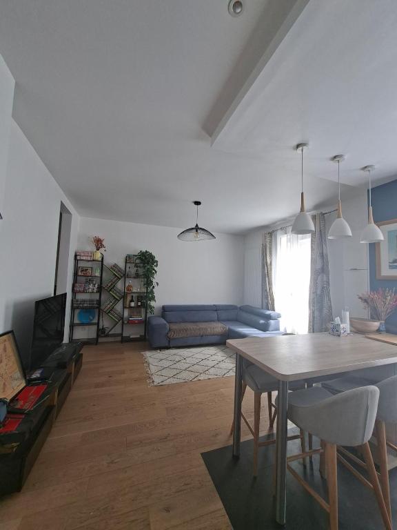 Large Parisian apartment - 4