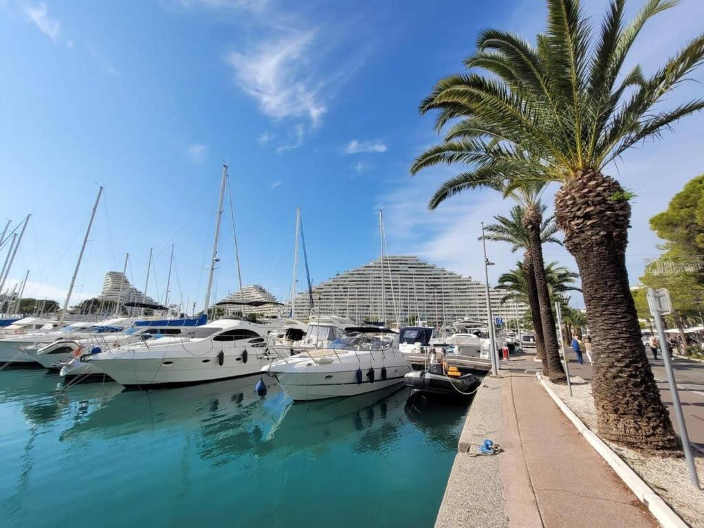 Lovely studio in Marina Baie des Anges - 3