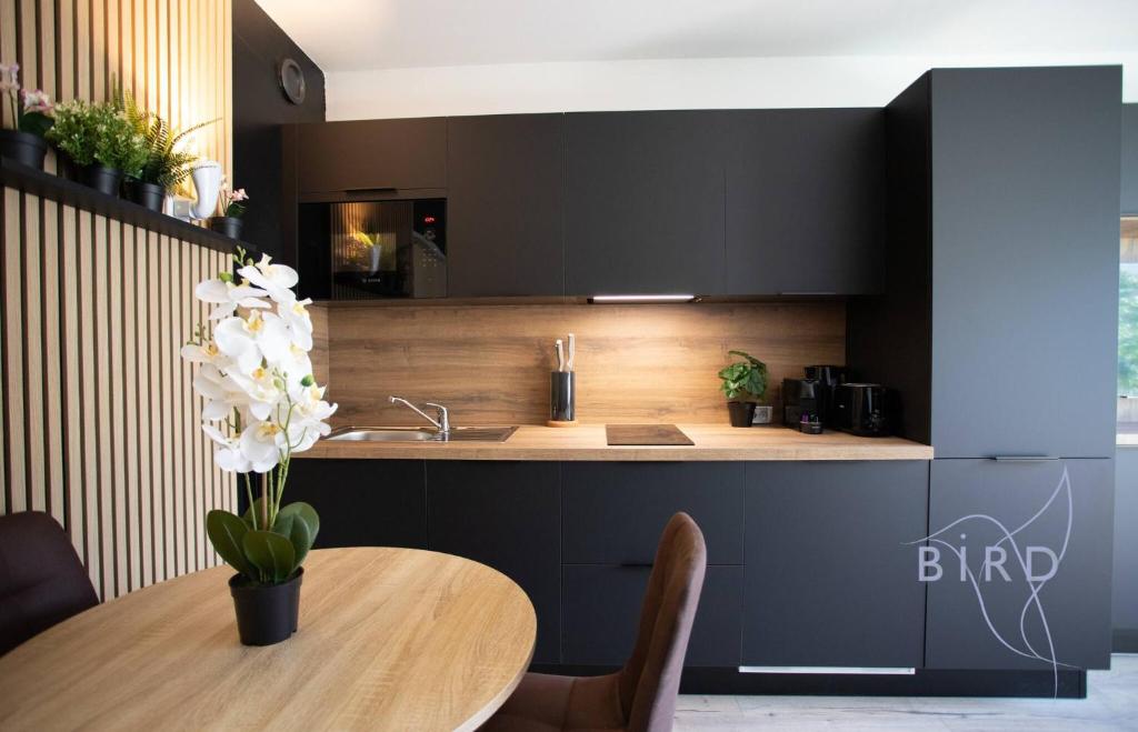 Sunny Flat in Juan les pins - 2