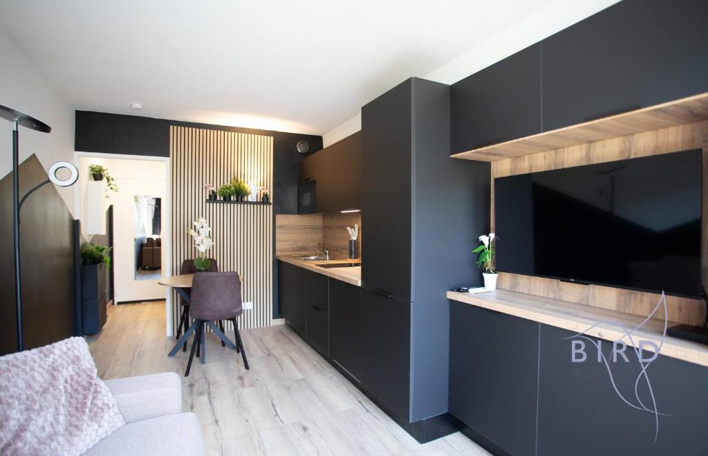 Sunny Flat in Juan les pins - 3