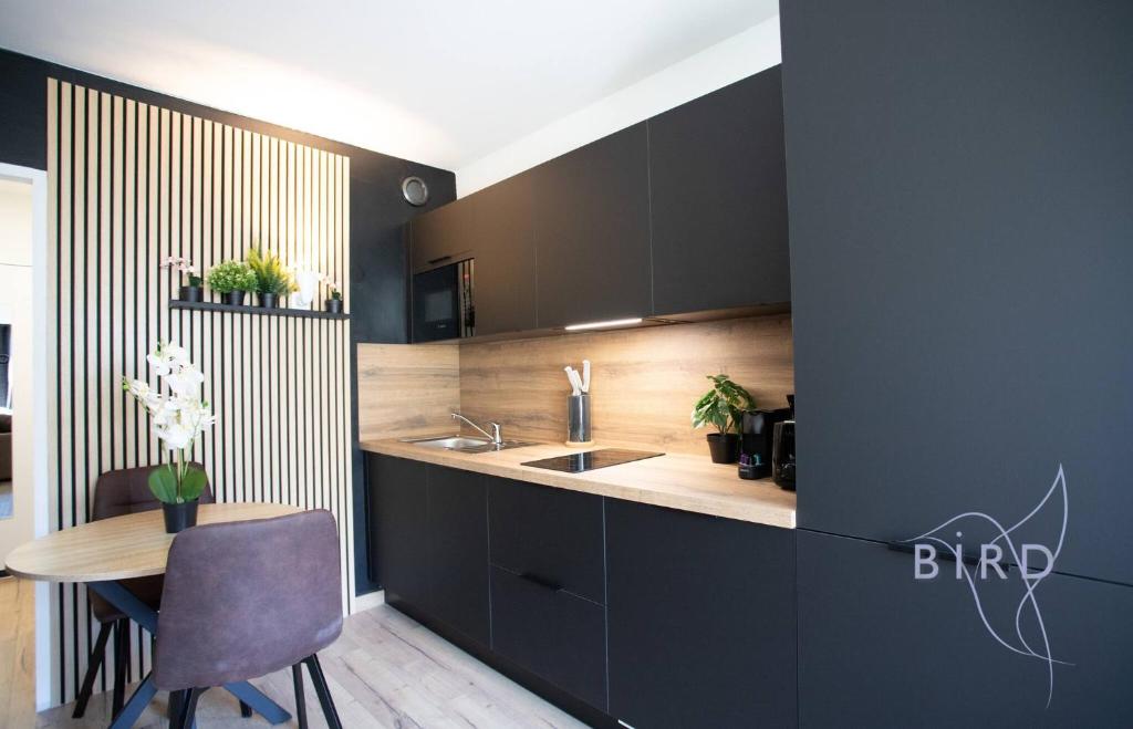 Sunny Flat in Juan les pins - 5