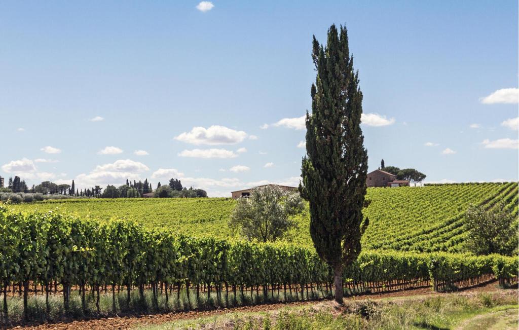 Stunning Home In Cortona - 5