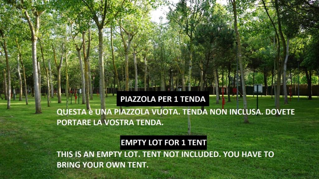 Camping Village Viareggio - 1