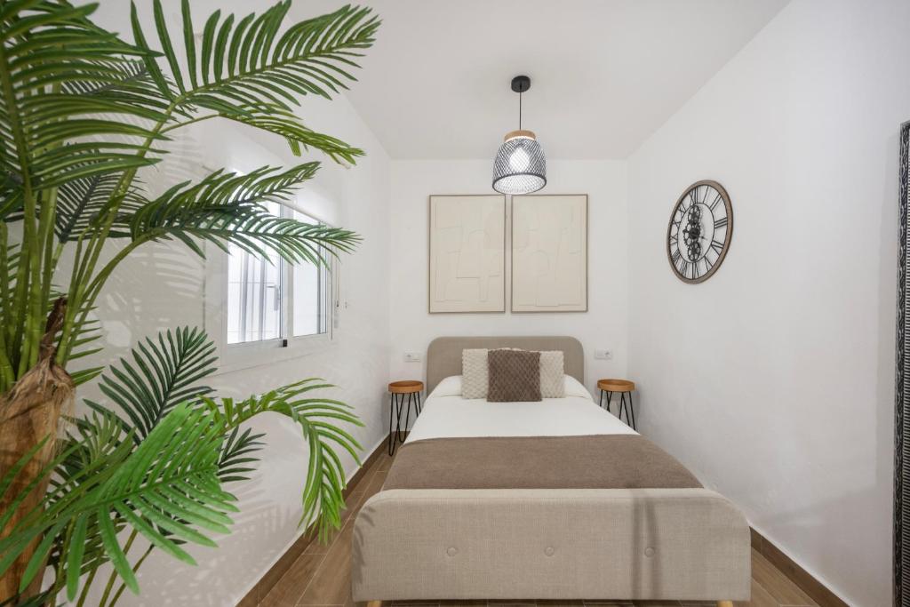 Apartamento Mamalú Jerez - 5