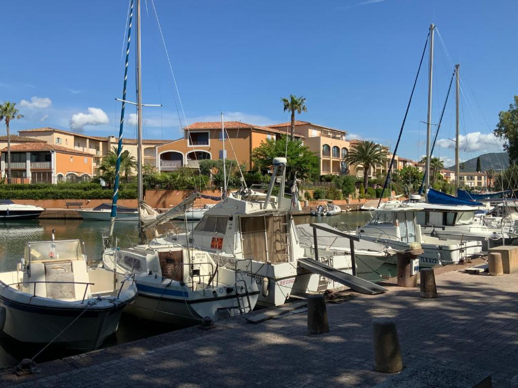 Port cogolin dans golfe de saint tropez - 1