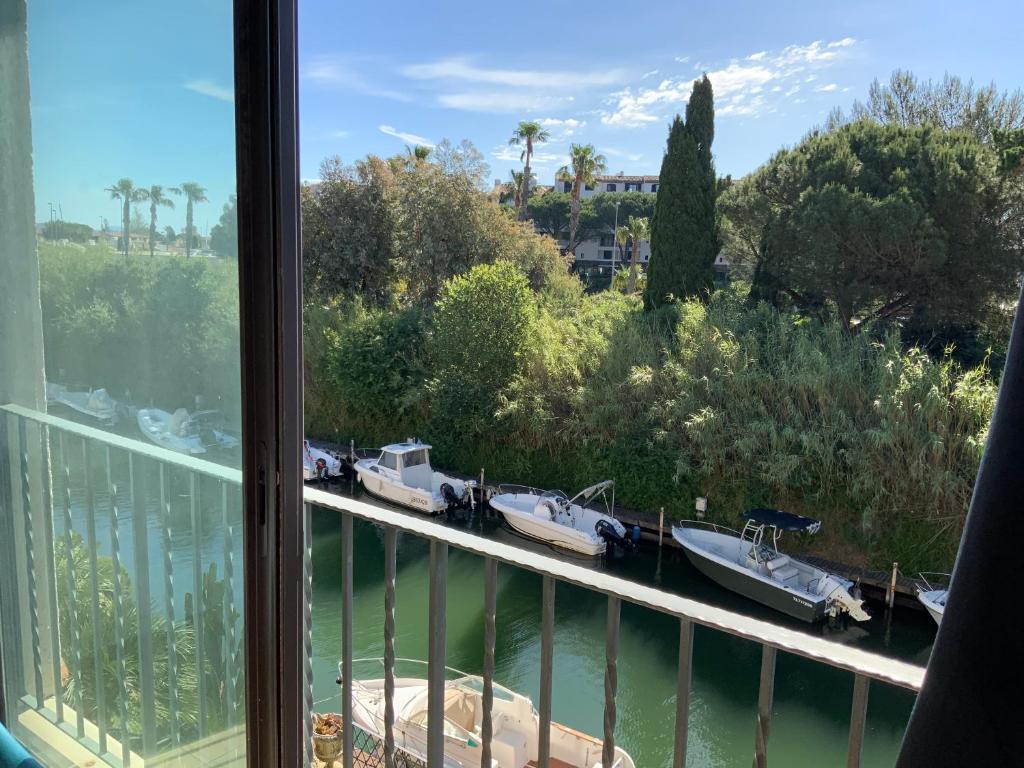 Port cogolin dans golfe de saint tropez - 2