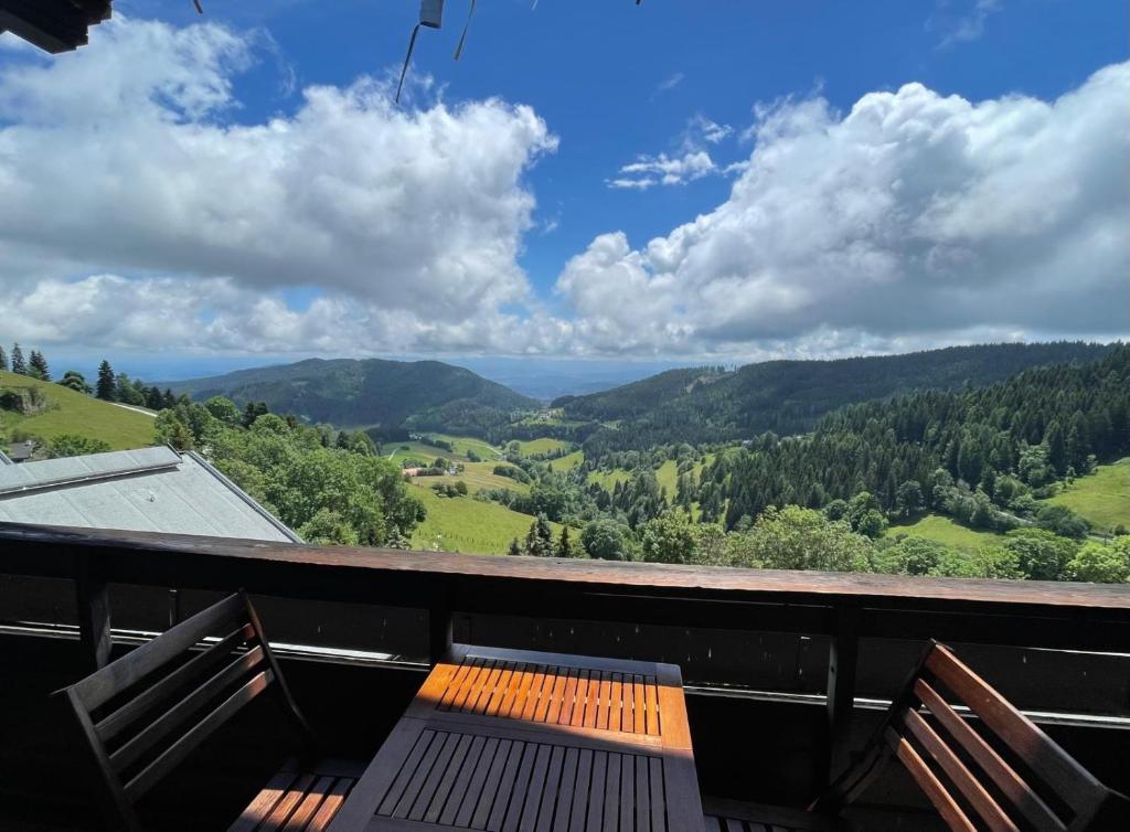 Fernblick Appartement Simonhöhe - 5