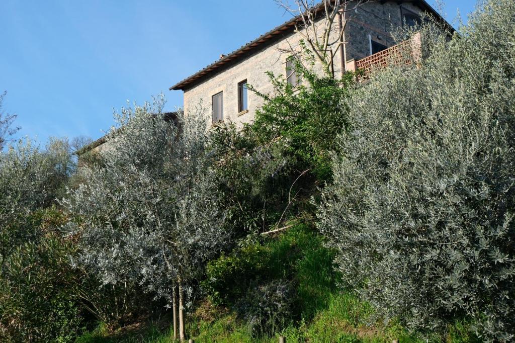 Villa Talleh - 2