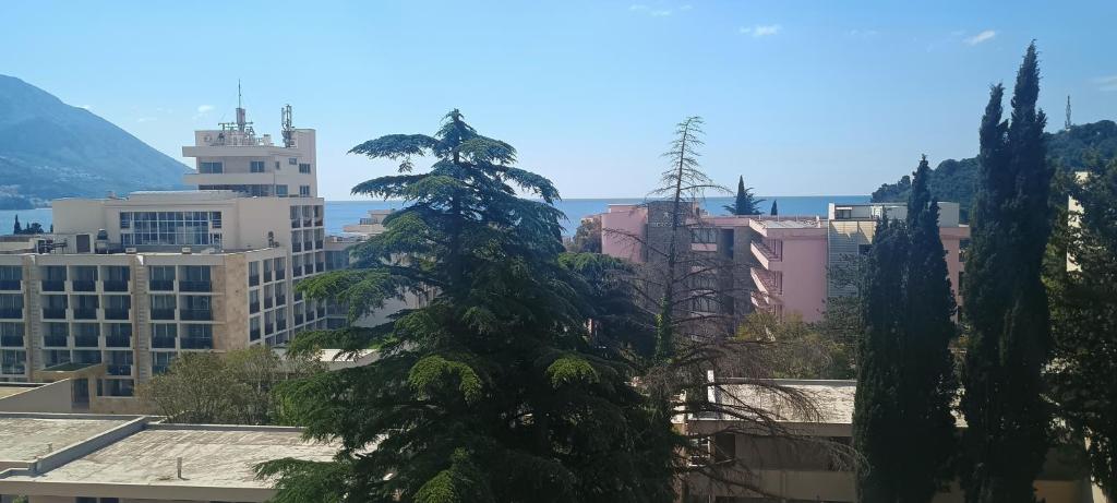 Modern sea view studio with terrace five min to beach - 1