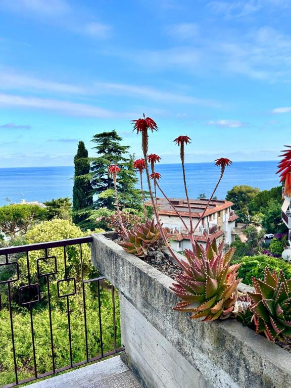 Casa Martina - 4