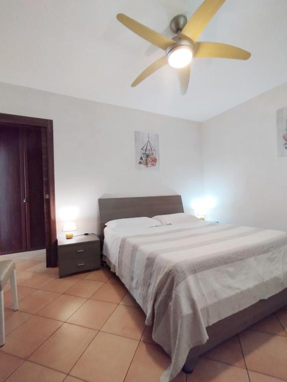 Casa delle palme - 5