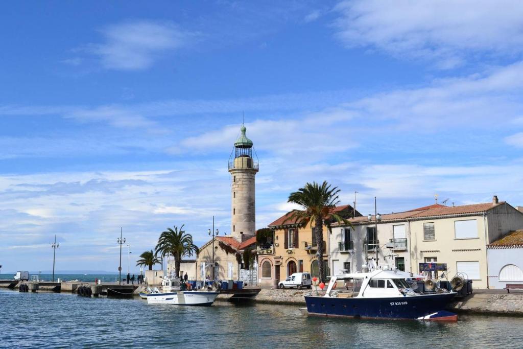 Neptune RDC droite - Grand Studio en Rez-de-chaussée - Secteur Prisé Boucanet - 5
