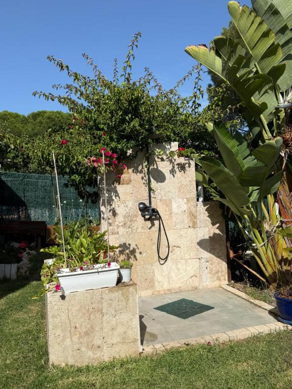 Le petit studio - 5