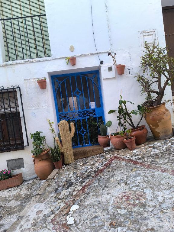 Casa Chaouen - 3