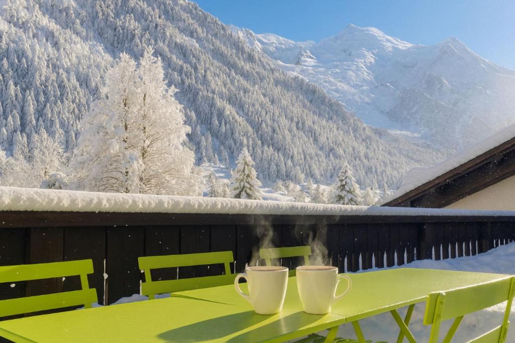 In the Heart of Chamonix duplex view Mont-Blanc - 4