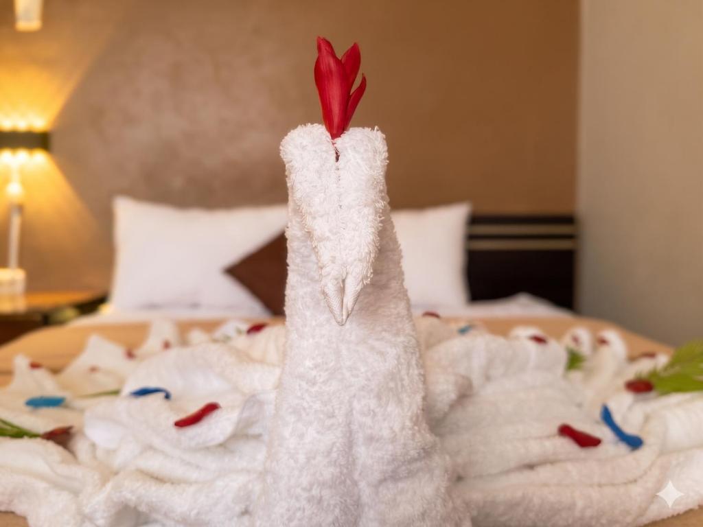 Confort Hotel Pichanaki - 4