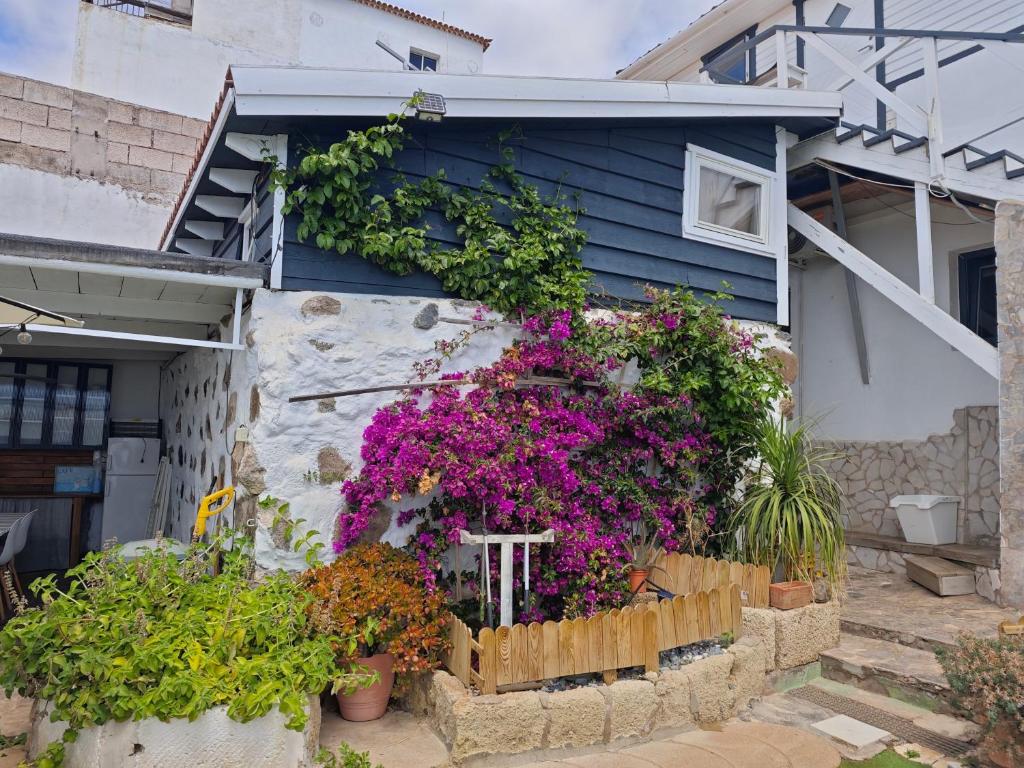 La Casita - 2