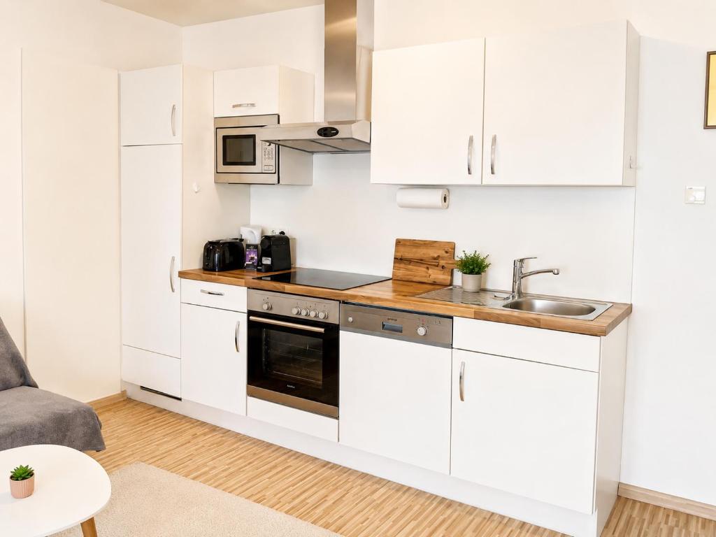 Comfort Apartment near Graz Central Station - 5