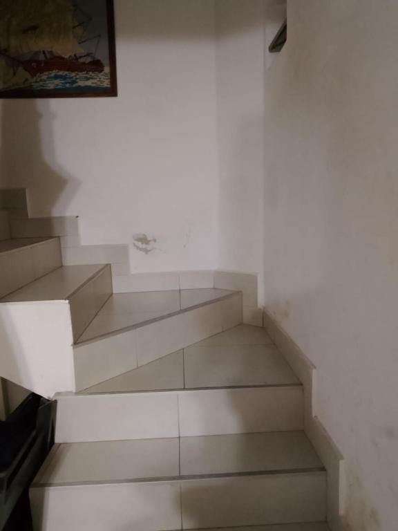 Bajo la viña - 5