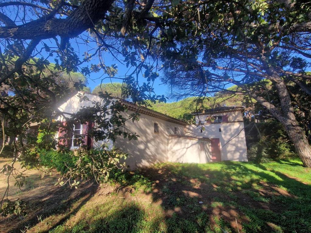 Villa en bord de plage - 6 pers. - FR-1-100-370 - 3