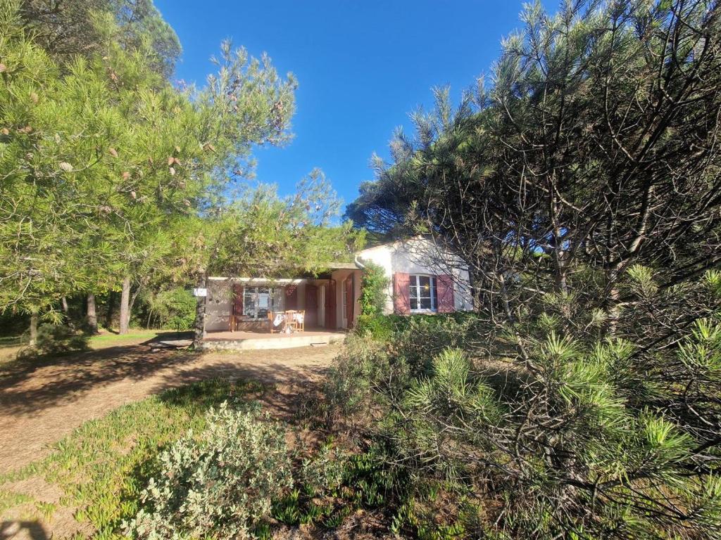 Villa en bord de plage - 6 pers. - FR-1-100-370 - 5