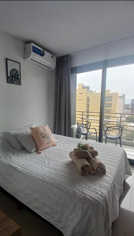 Centro suite II - 1