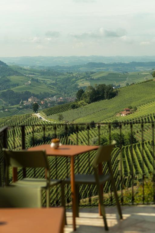 Sky and Vineyards - Nespolo - - 4