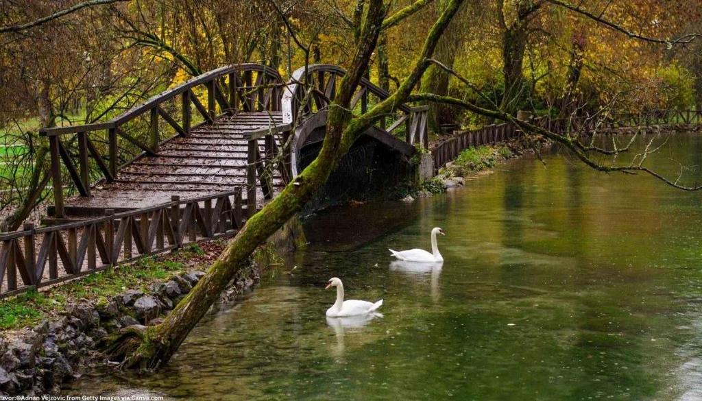 Villa EMIR - Bosnian Pyramids - Rooms and Entire Villa - 5