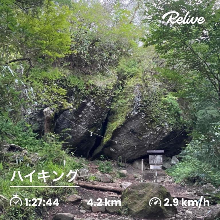 スポーツ/アクティビティ
