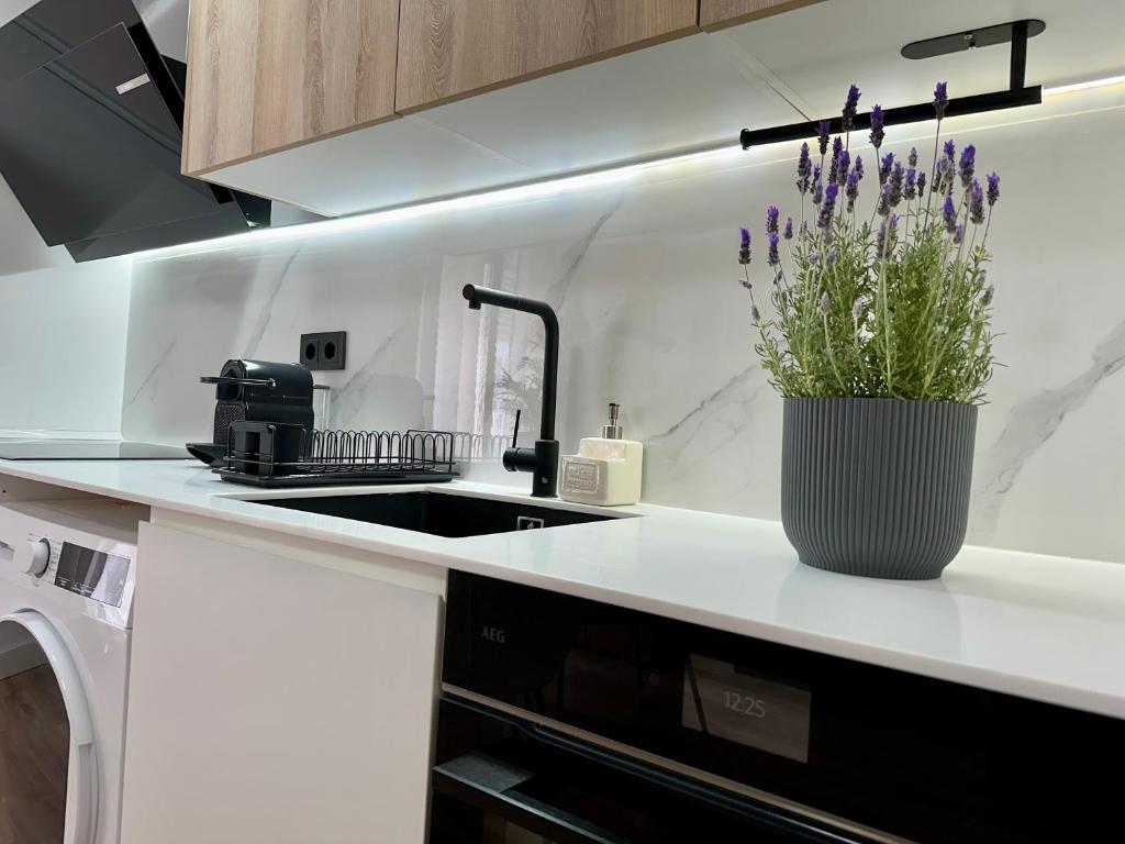 Apartamento moderno en el corazón de Ciutat Vella - 1