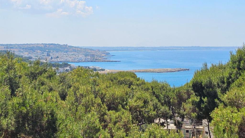 Dimora Villa Serena Porto Selvaggio Gallipoli - 2