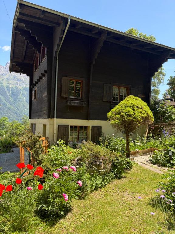 Chalet Mex 15 - 3
